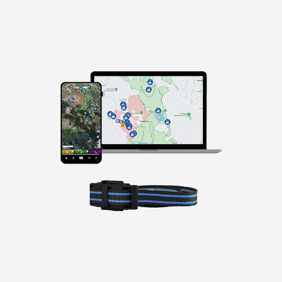 GPS-tagg Yabby3 med �rsabonnemang och djurhalsband