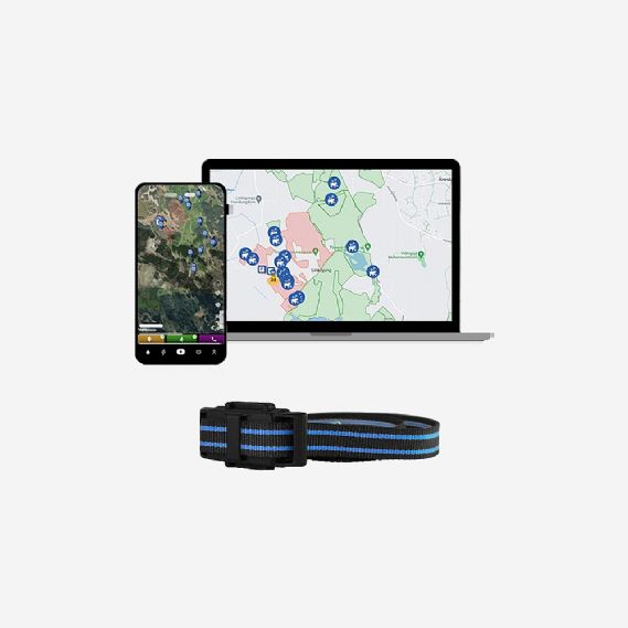 GPS-tagg Yabby3 med �rsabonnemang och djurhalsband